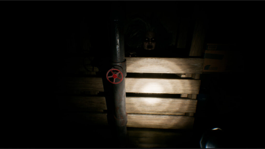 House of Lost Souls - Do you see it too?