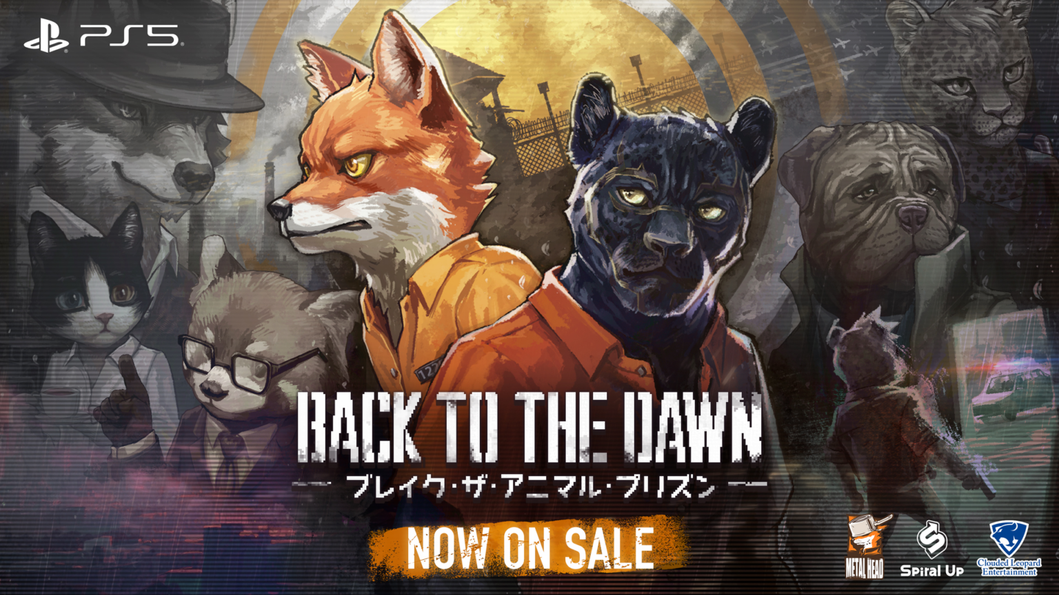 Back to the Dawn
